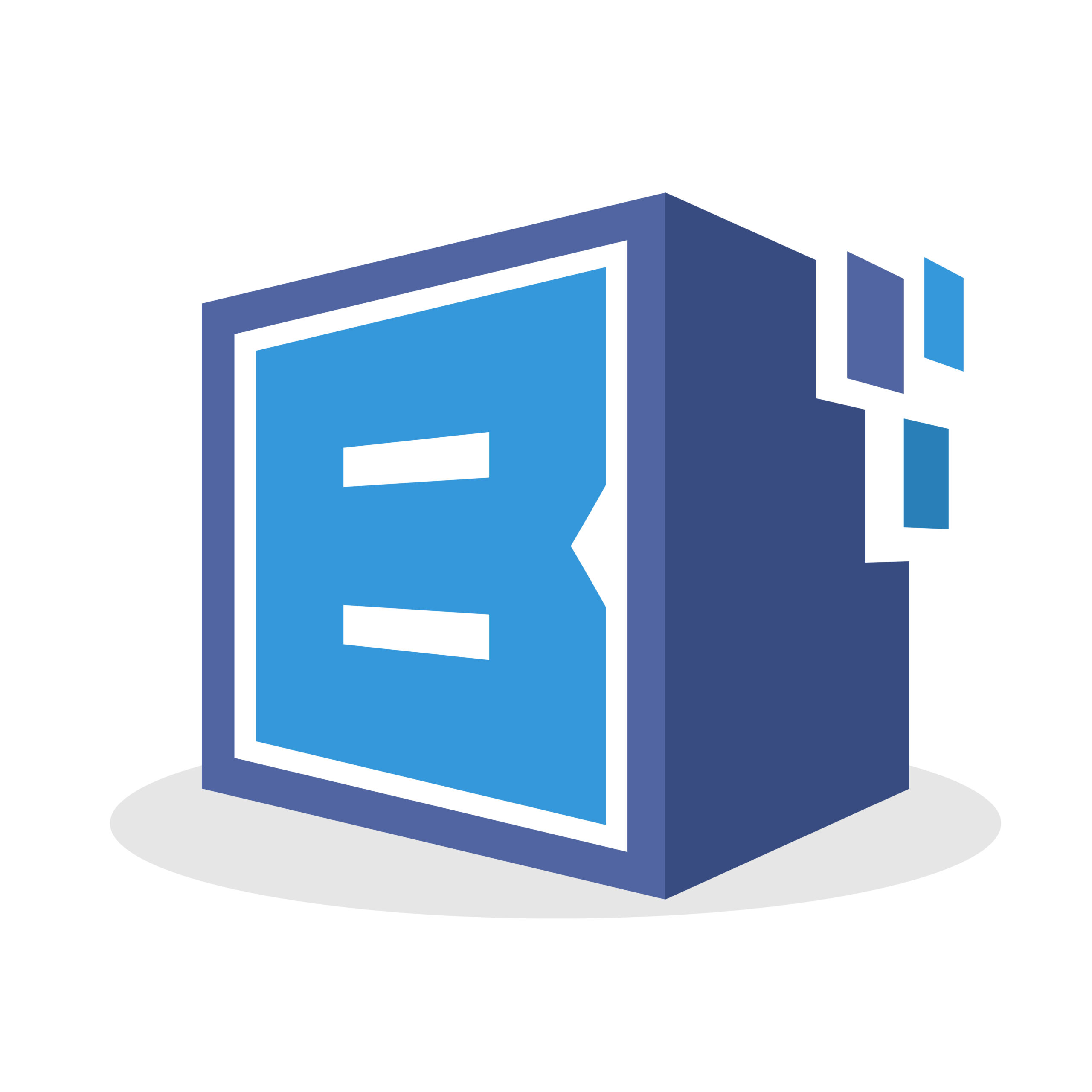 Basin Data Solutions